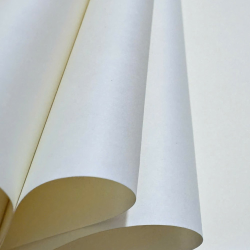 giay-ford-kem-in-ruot-so-tay-cao-cap